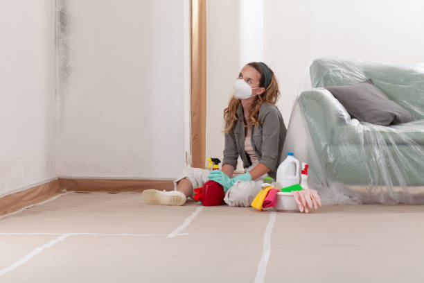 Reliable Mold Cleanup contractor in Newtonville, MA by WQB Mold Removal